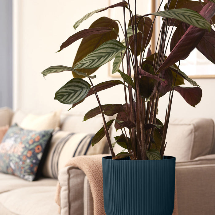 306288-x01.jpg (1732013)