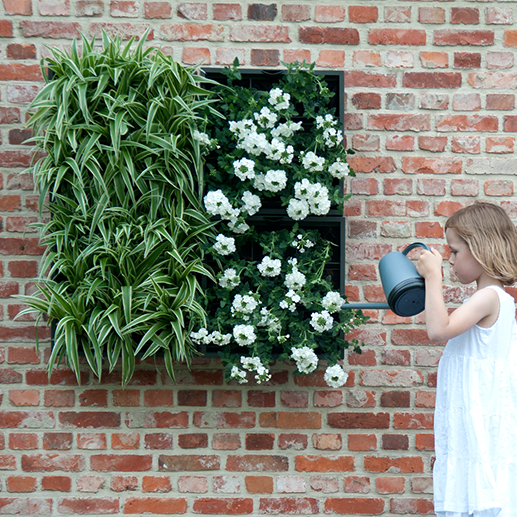 D&M KAROO verticale tuin met potgrond - wit