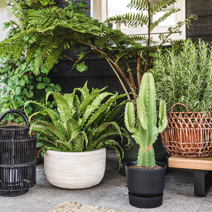 elho Greenville Bloempot 25 cm