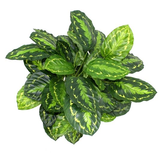 37deb0e5-3ec6-4fe3-a5f2-2fa71d742beb-afbeelding9.jpg (3432065)