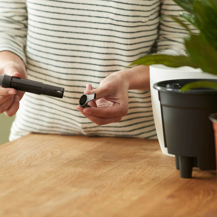 259789-x02.jpg (3444279)