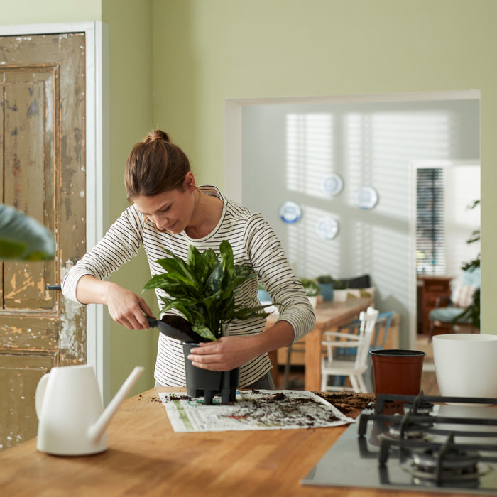 259789-x03.jpg (3444280)