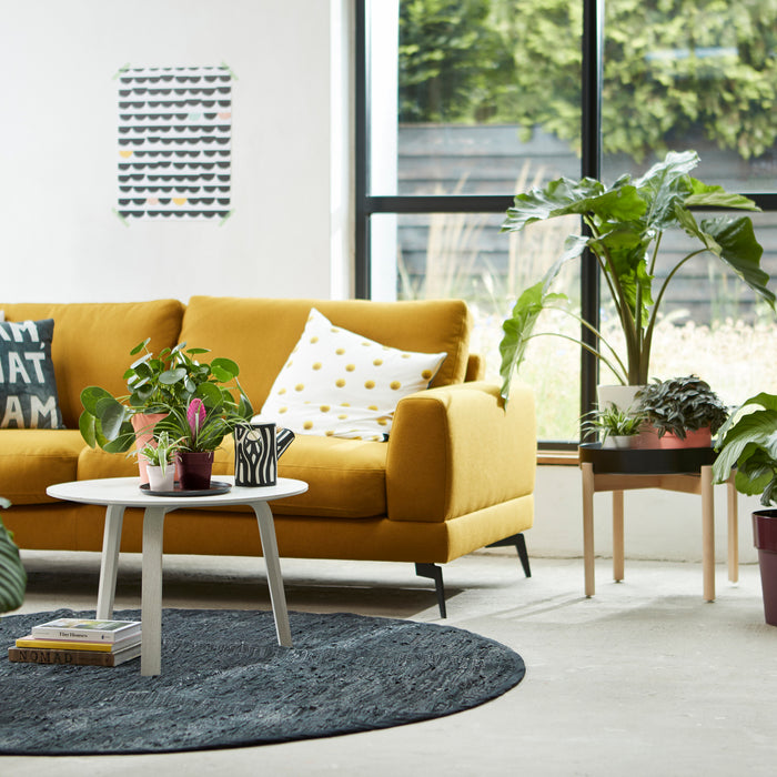 259805-x01.jpg (3488927)