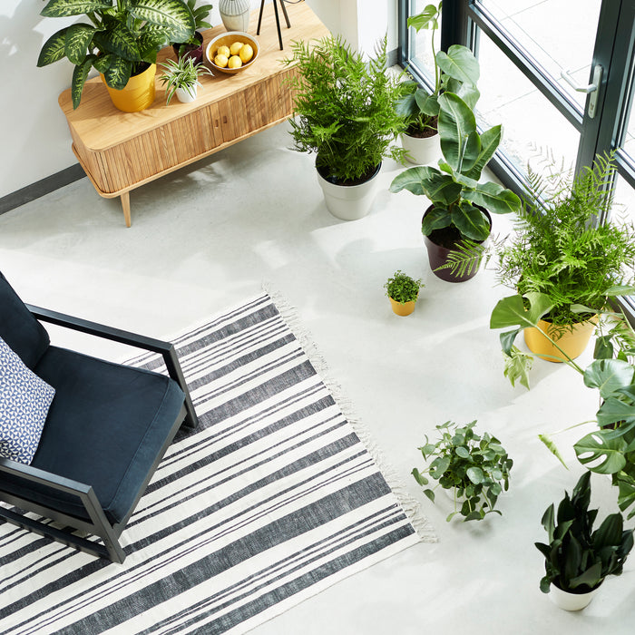 259805-x04.jpg (3488929)