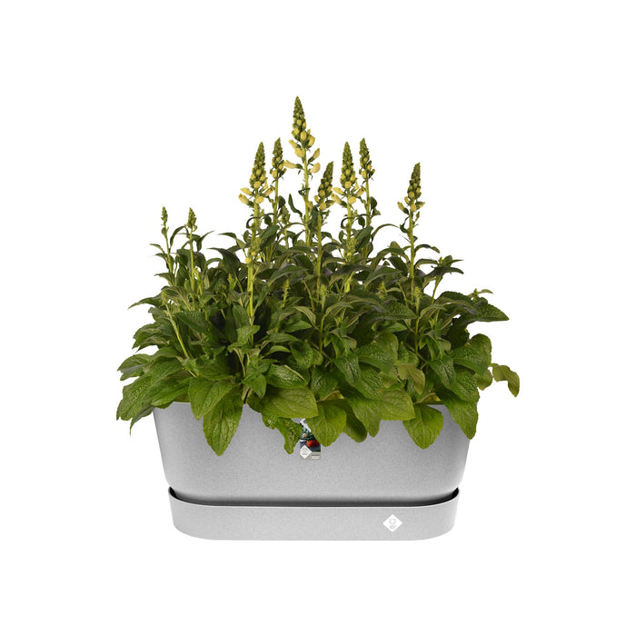 Elho Greenville Bloembak 80 cm Grijs