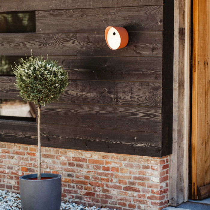 Capi Europe Vogelhuisje