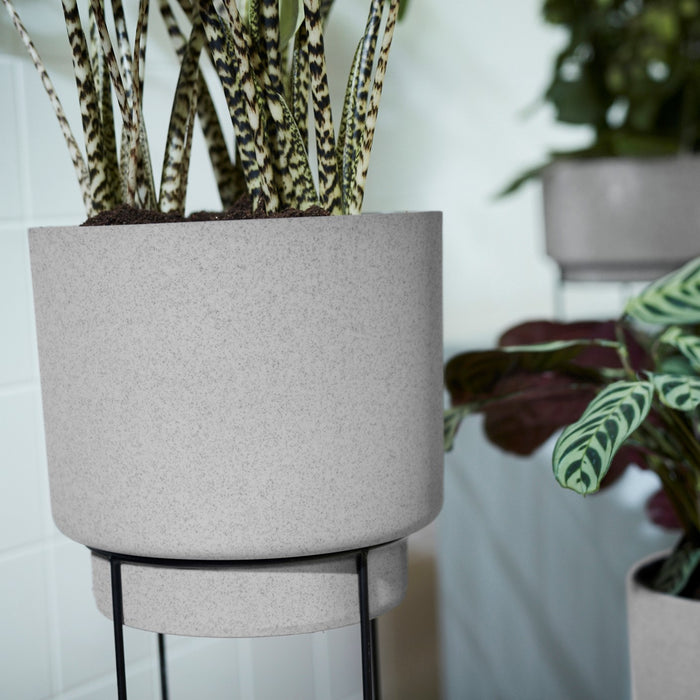 285618-x04.jpg (4108824)