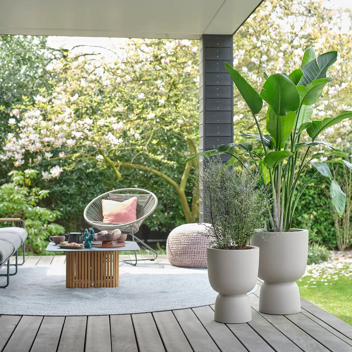 elho Pure Coupe Bloempot Ø 41 cm - Balanced Beige