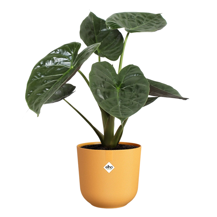 321610-x03-202310181322-C.png (7505953)