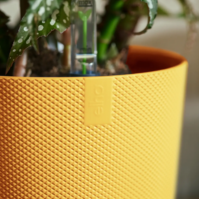 321610-x04-202310181322-A.png (7505954)