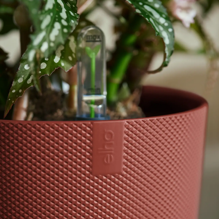 321620-x04-202310181321-A.png (7506049)