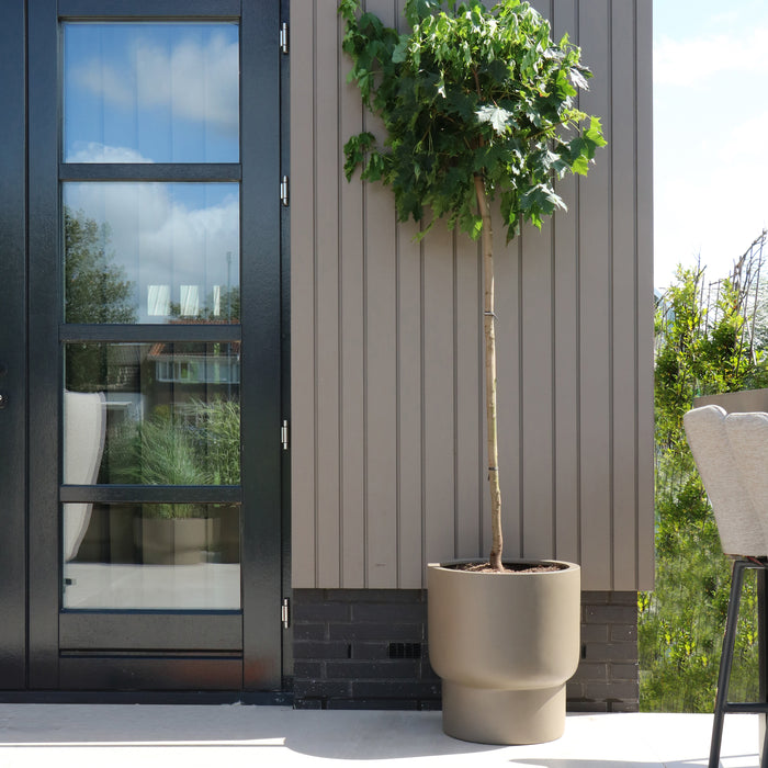 321472-x02-202311011022-A.jpg (7569755)