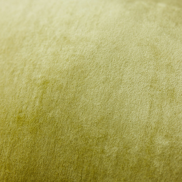 322459-x04-202402170221-C.jpg (7959665)