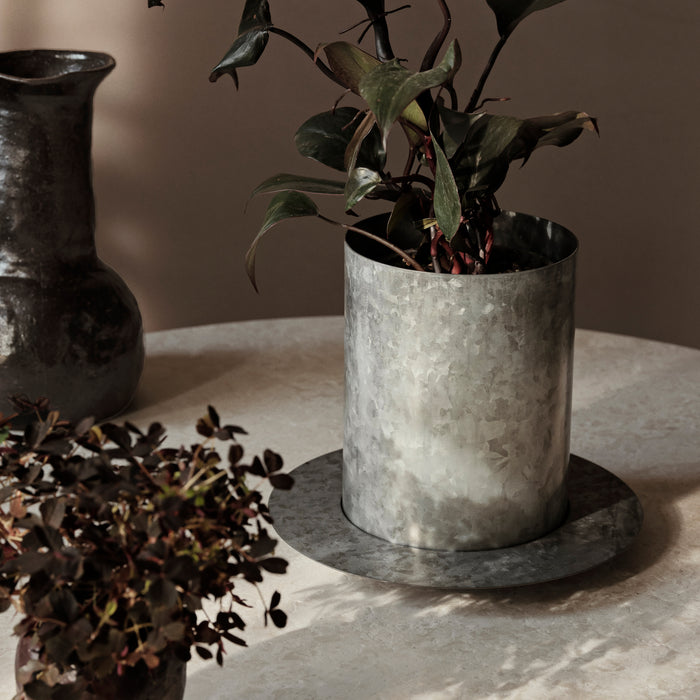 323163-x01-202403020223-A.jpg (8012557)