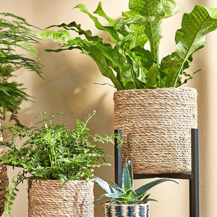 fe585061-b122-4532-8110-48fb5900fa64-afbeelding7.jpg (9190635)