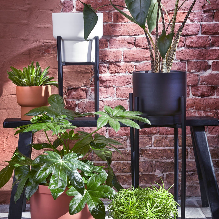 f9cb8e08-afee-4cb4-a75c-793450fff58c-afbeelding8.jpg (9190746)