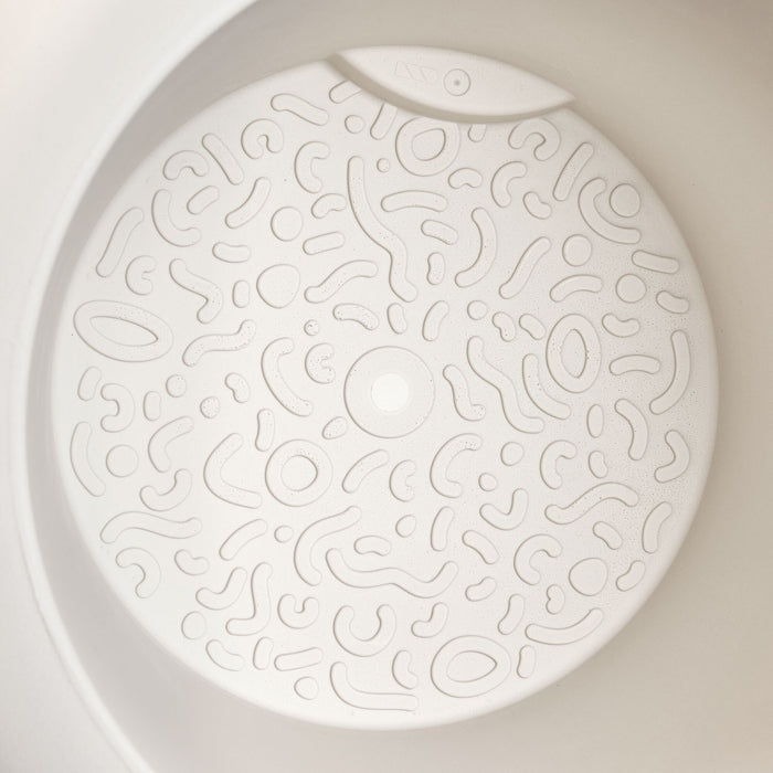 327616-x04-202412190541-C.jpg (9713808)