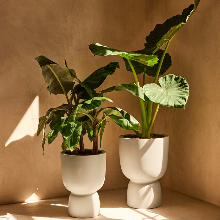 327622-x01-202412190540-A.jpg (9713809)