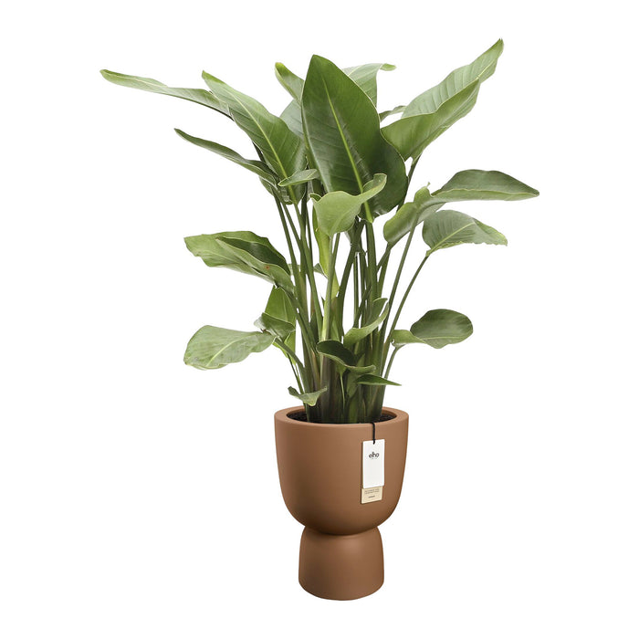 327624-x03-202412190542-C.jpg (9713819)