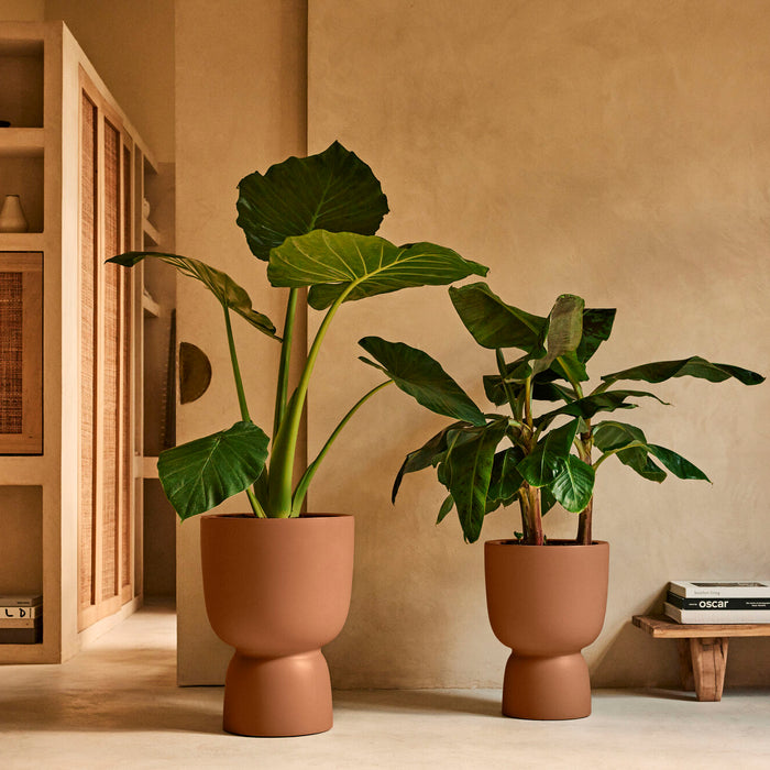 327627-x04-202412190542-A.jpg (9713832)