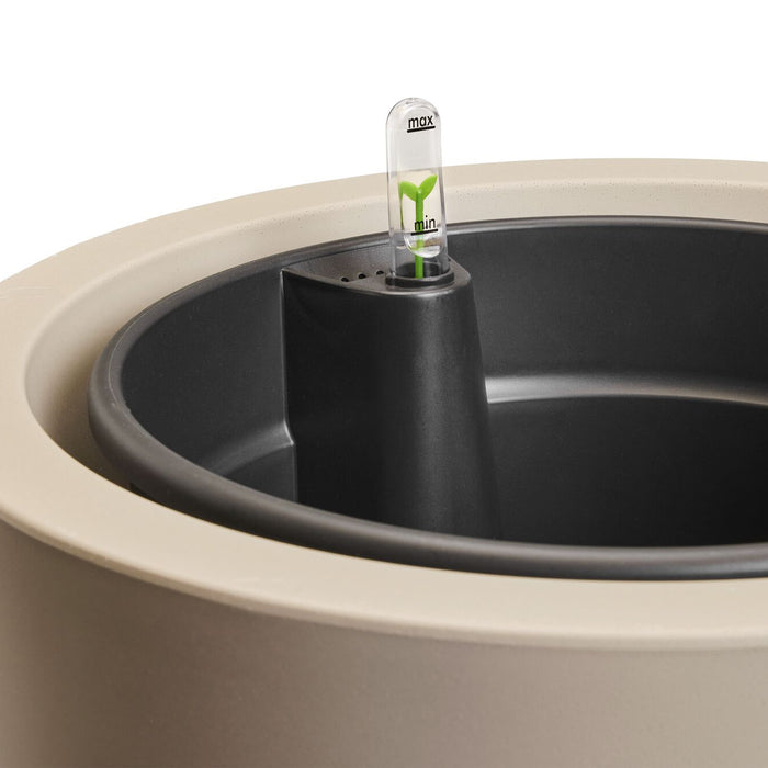 327635-x04-202412190541-C.jpg (9713858)