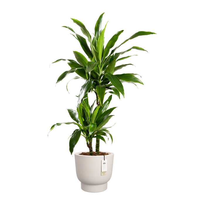 327637-x03-202412190540-C.jpg (9713862)