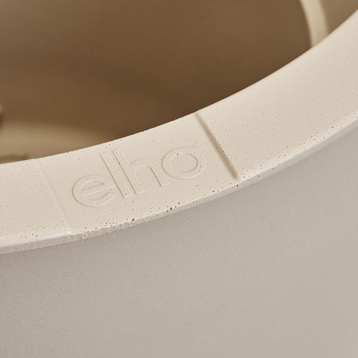 327638-x04-202412190541-C.jpg (9713867)