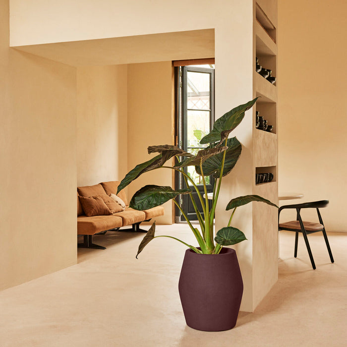 327644-x01-202412190540-A.jpg (9713894)