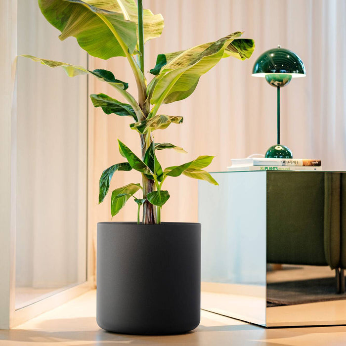 Elho Pure Cilinder Wheels 40 - Zwart - L 40 x B x H 40 cm - Balkon, Binnen en Buiten - 100% gerecycled