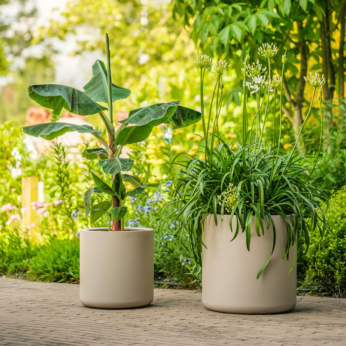 Elho Pure Cilinder Wheels 50 - Beige - L 50 x B x H 50 cm - Balkon, Binnen en Buiten - 100% gerecycled