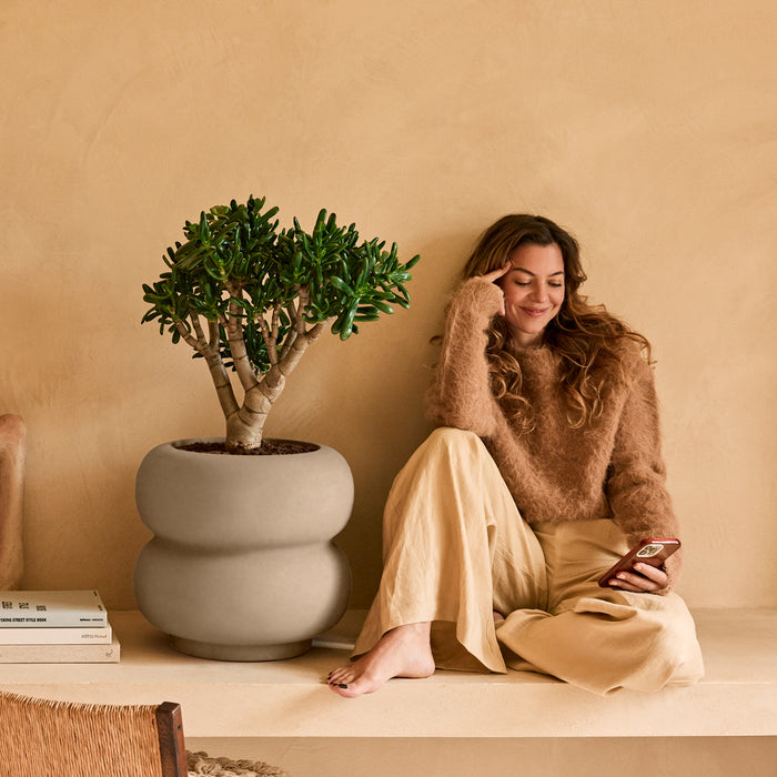 327617-x02-202501032021-A.jpg (9770317)