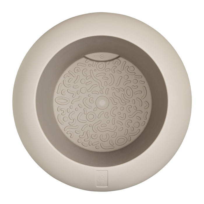 327617-x04-202501090122-C.jpg (9809042)