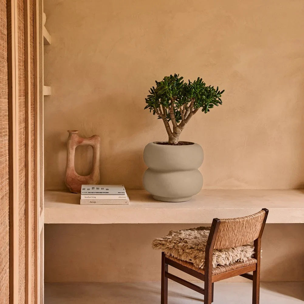 Tips: zó kies je voor elke plant de juiste bloempot