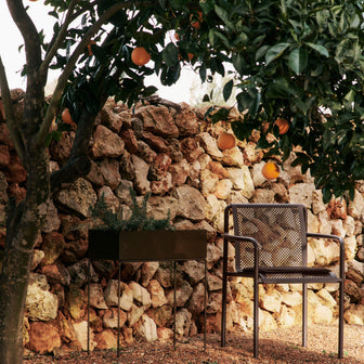 328501-x01-202503101622-A.jpg (10009159) 