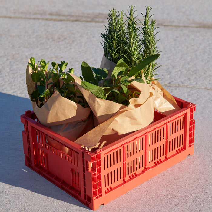 329950-x01-202505151821-A.jpg (10288454) 