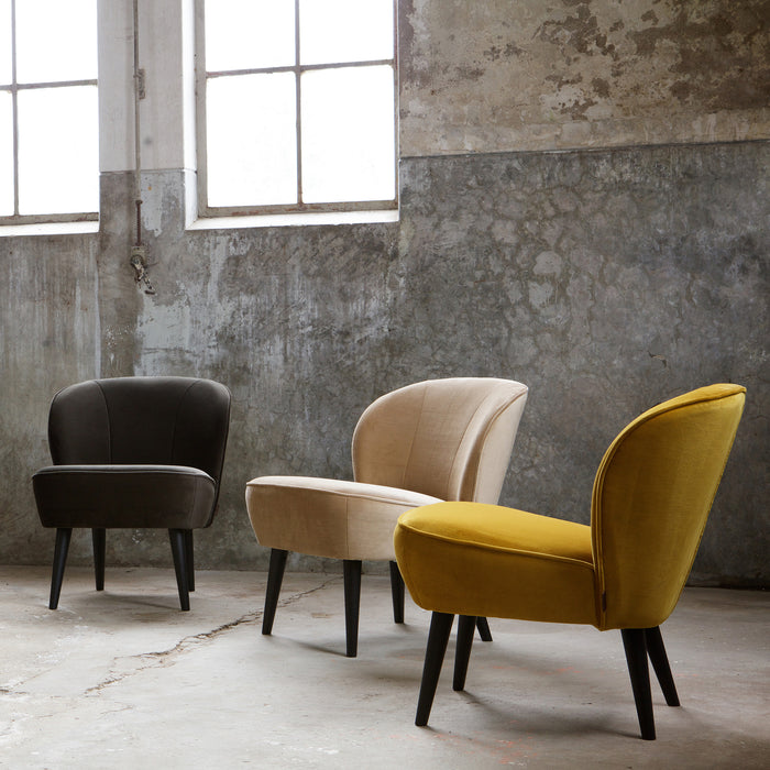 241273-x6.jpg (1698595) 