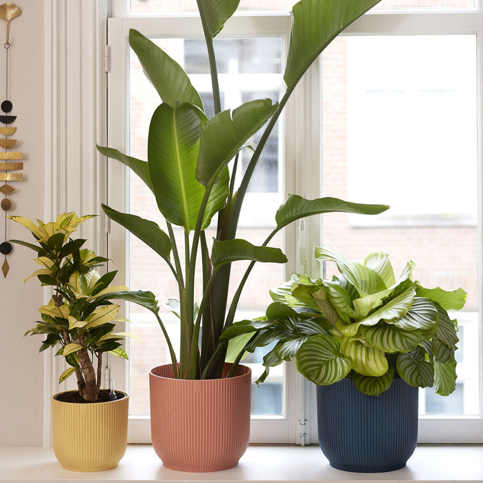 306273-x01.jpg (1700529) 