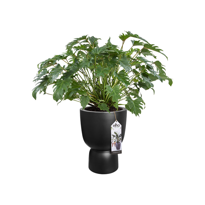 elho Pure Coupe Bloempot Ø 41 cm - Black