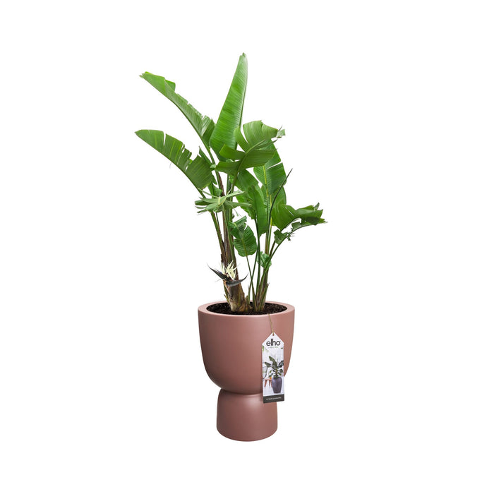 elho Pure Coupe Bloempot Ø 41 cm - Rosy Brown