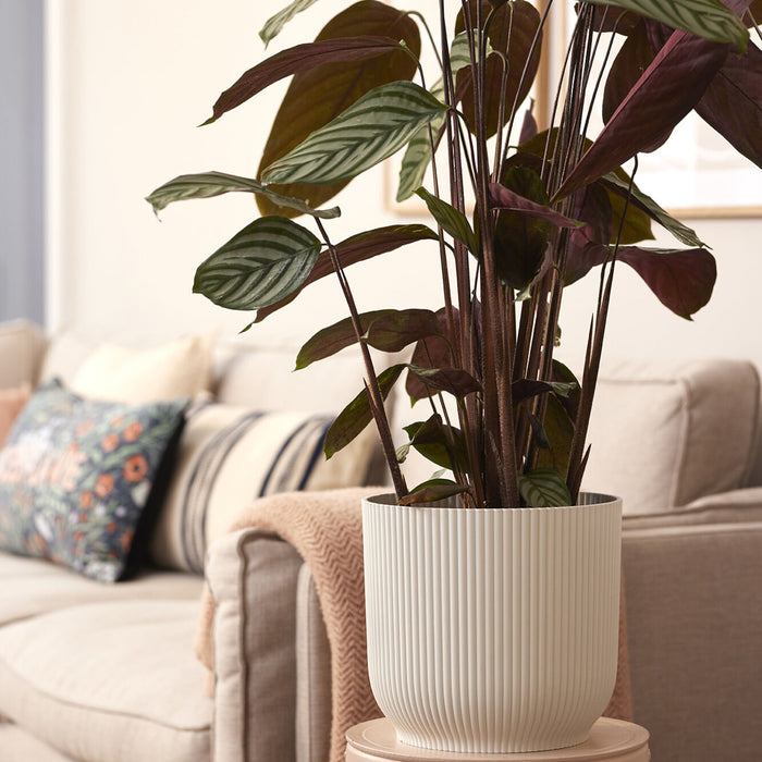 306289-x01.jpg (1734307) 