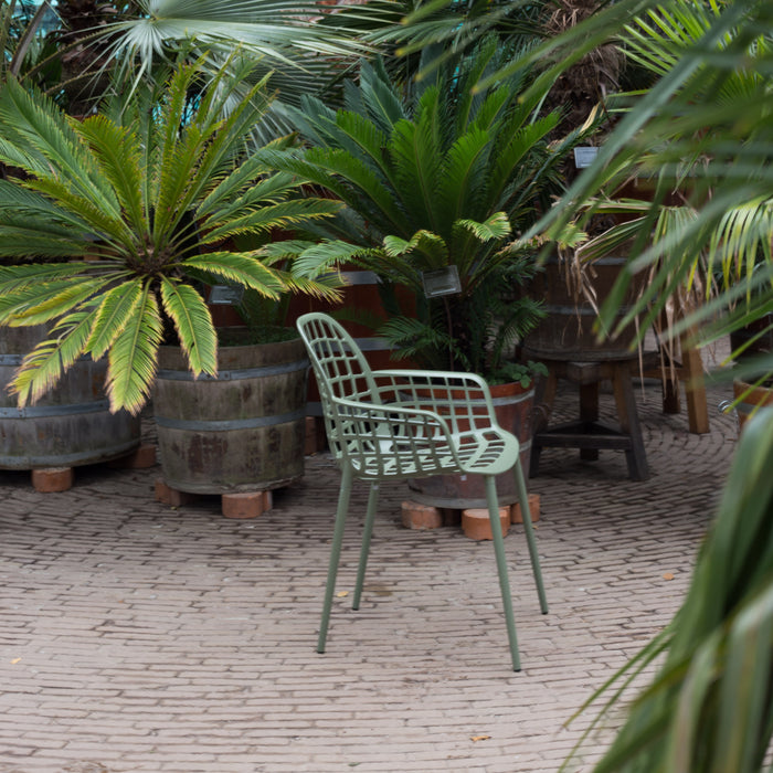 229298-x16.jpg (1749104) 