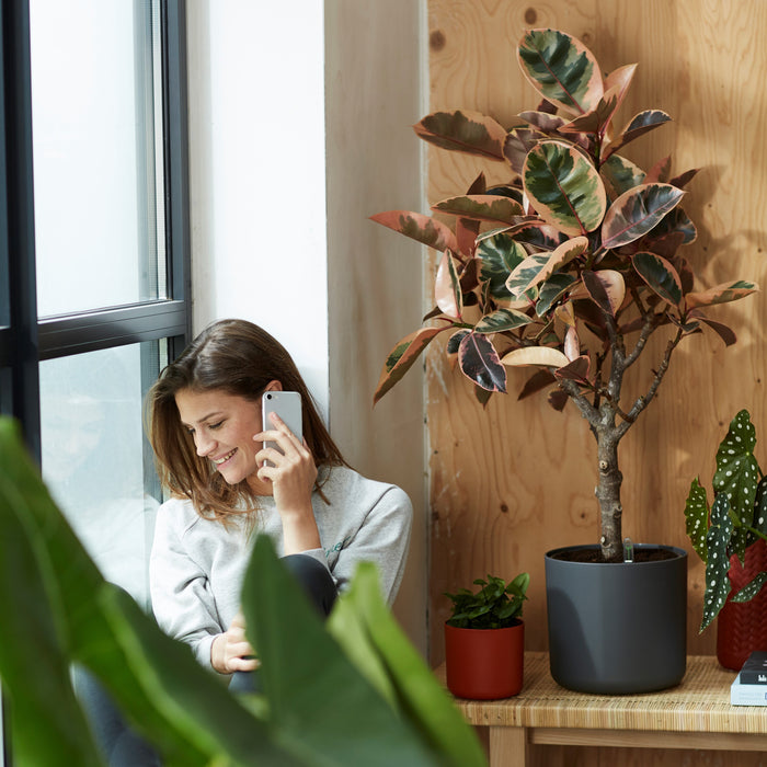 elho B.For Soft Bloempot Rond 35 cm