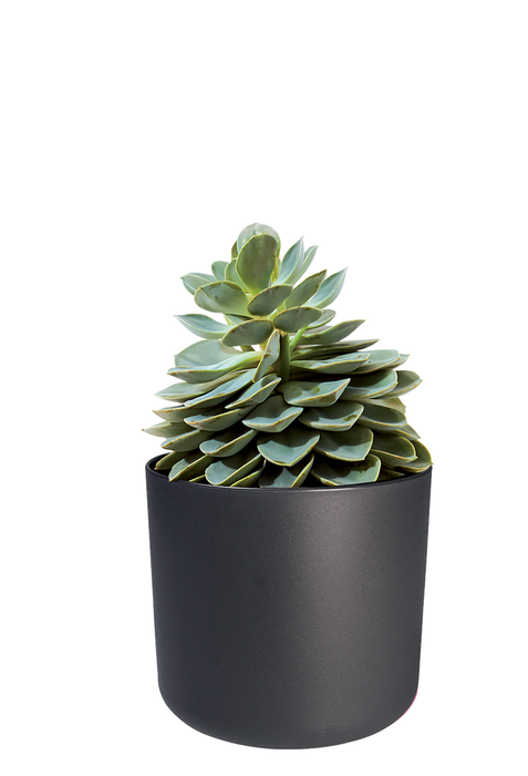 217466-2.png (2546864) 