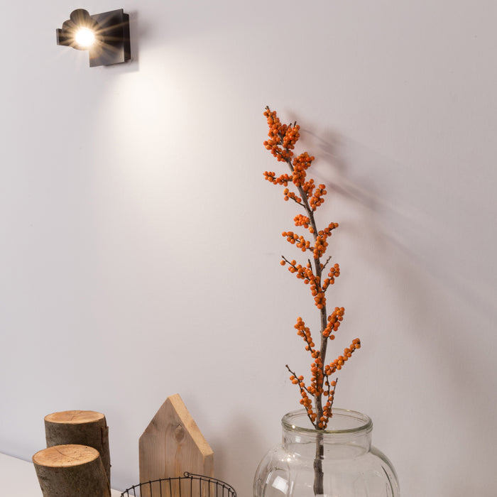 Zuiver Luci Plafondlamp