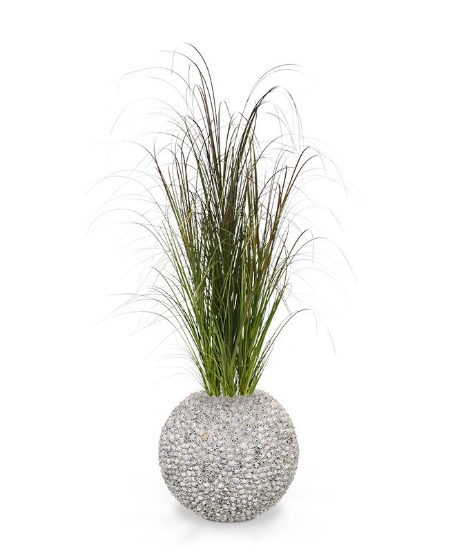 5c1744ee-b94b-42b6-913a-6eb866671947-sfeerbeeld.jpg (3083503) 