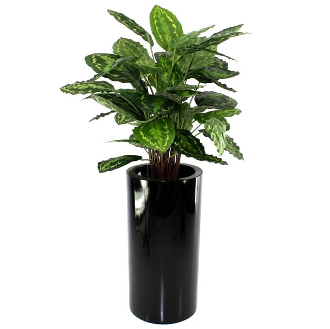 37deb0e5-3ec6-4fe3-a5f2-2fa71d742beb-afbeelding5.jpg (3432061) 