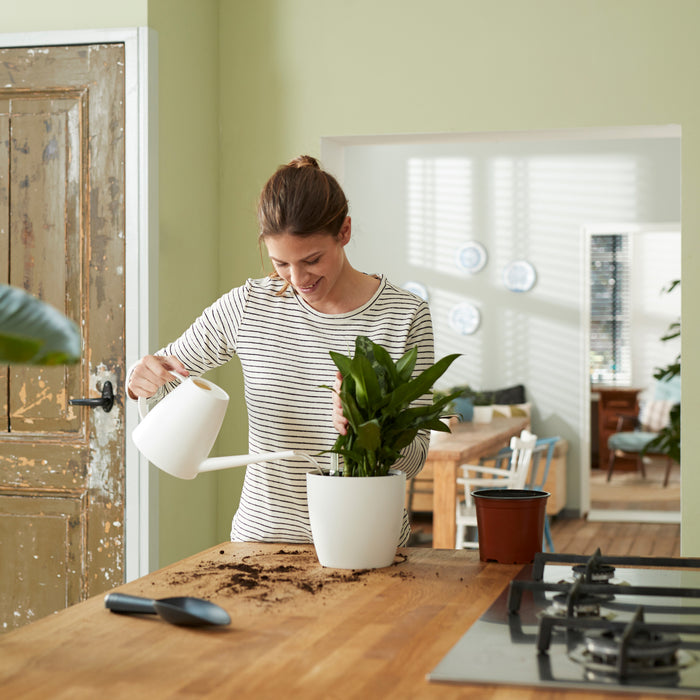 259789-x05.jpg (3444282) 