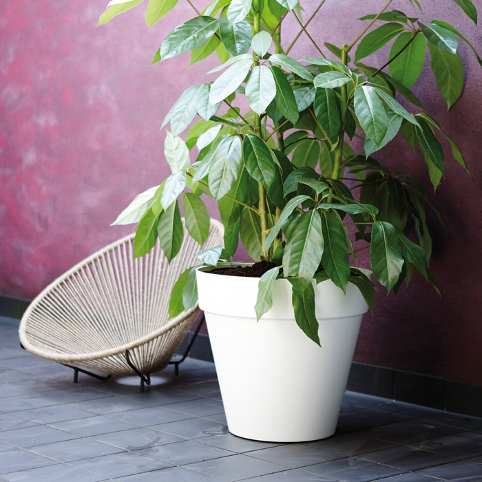 elho Loft Urban Round Bloempot 50 cm met Wielen