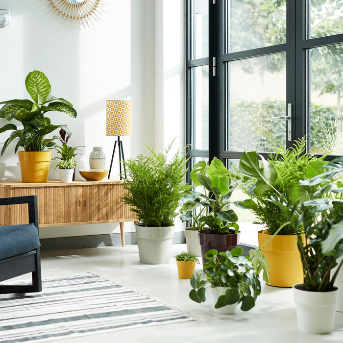 259805-x03.jpg (3488928) 