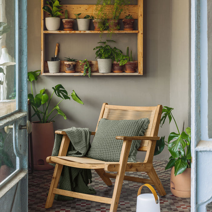 312826-x01.jpg (3548212) 